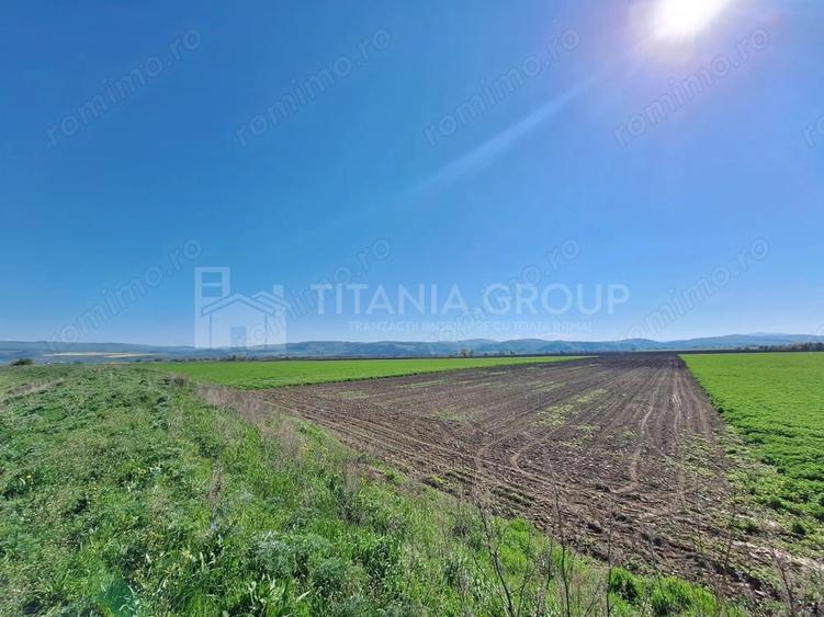 Teren de 8700 mp - extravilan - Bod, Brasov - 5