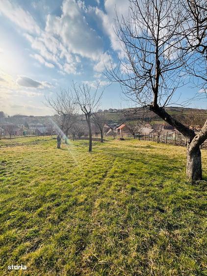 Casa saseasca cu teren 2000 mp dublu acces Hamba - 6