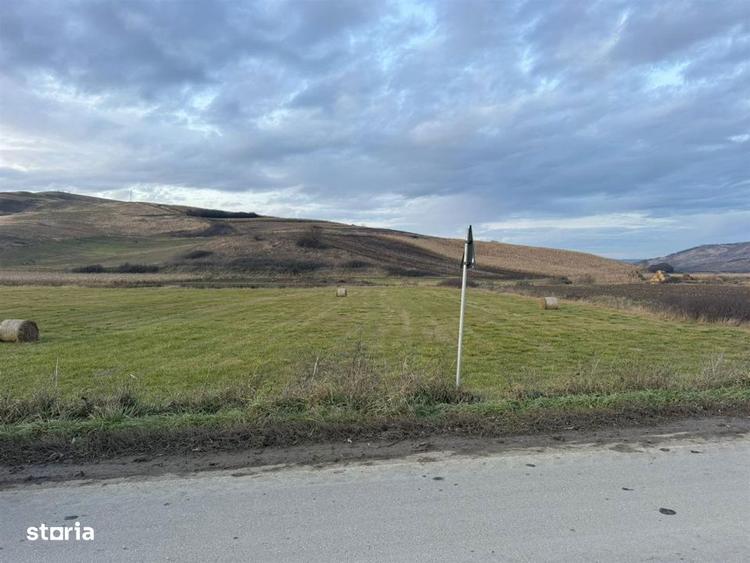 Teren Extravilan I 6000 Mp I Acces la drum | Cojocna - 4