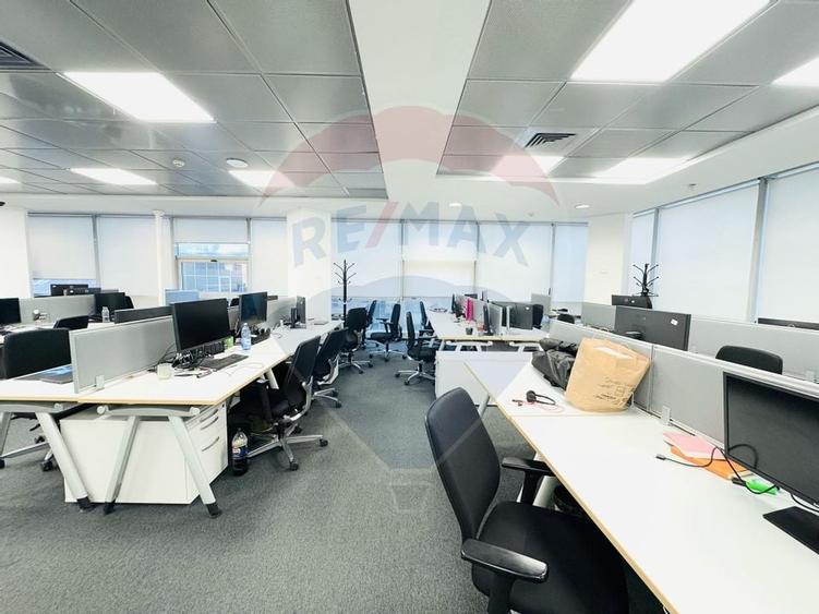 Spații birouri de închiriat Piata Victoriei | Spații 110–296mp - 3