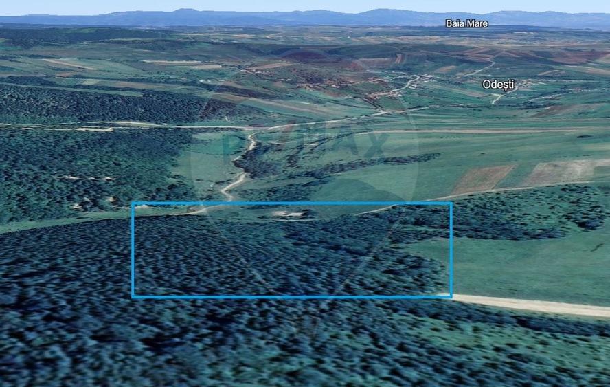 Pădure de vanzare cu zona de cabană Odesti - 3