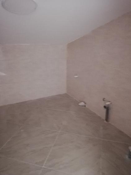 Calea Calarasi activitati comerciale diverse - 5