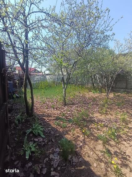 Vanzare casa batraneasca si teren in Targoviste - 9