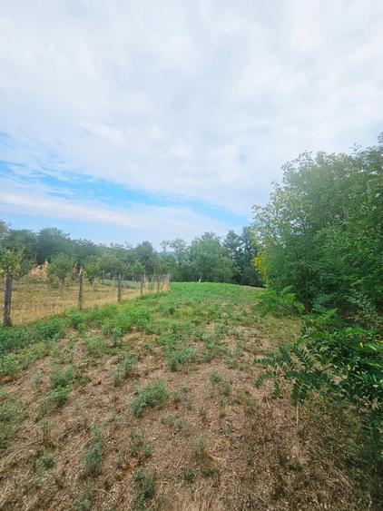 Teren intravilan, cu priveliște– Vălenii de Munte - 15