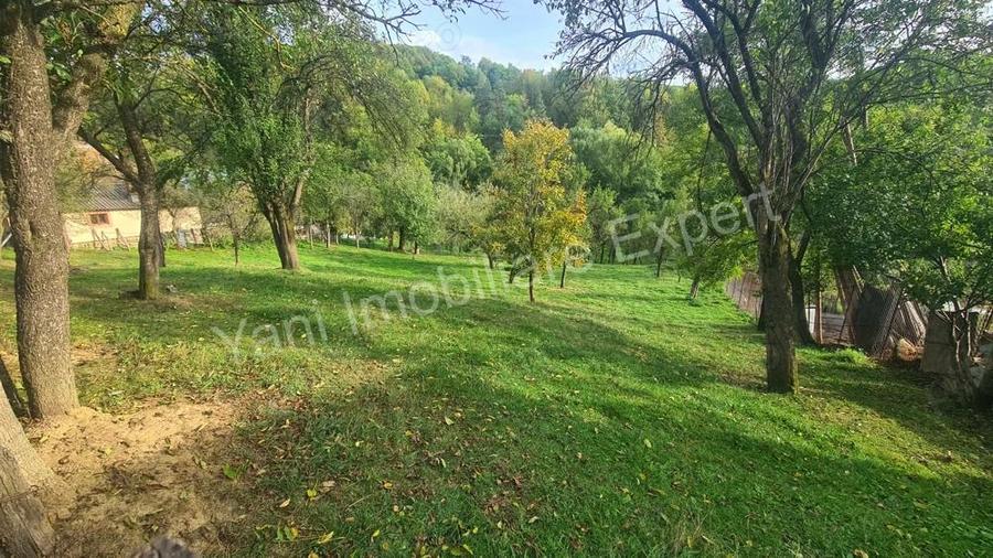 Teren de vanzare in comuna Arefu, sat Arefu, jude? Arge?. - 5