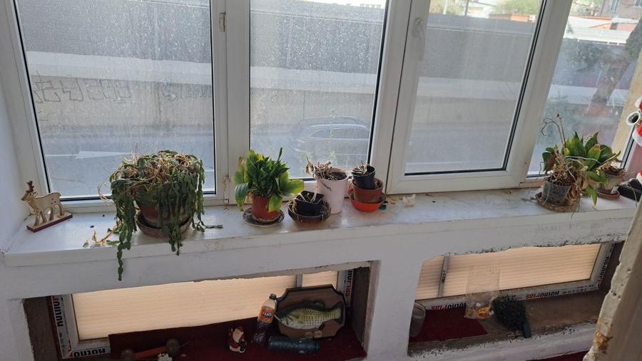 Apartament 3 camere Doamna Ghica - 5