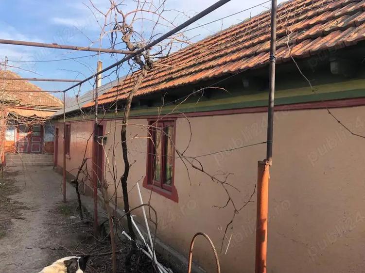 Casa de vanzare Lumina, Constanta - 2