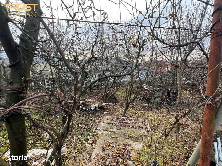 Teren intravilan 1000 mp Liniste, spatiu si ince - 1