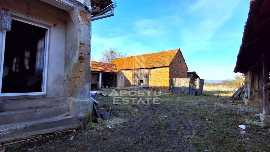 Casa de caramida in Tela si Teren Generos de 4320 mp - 4