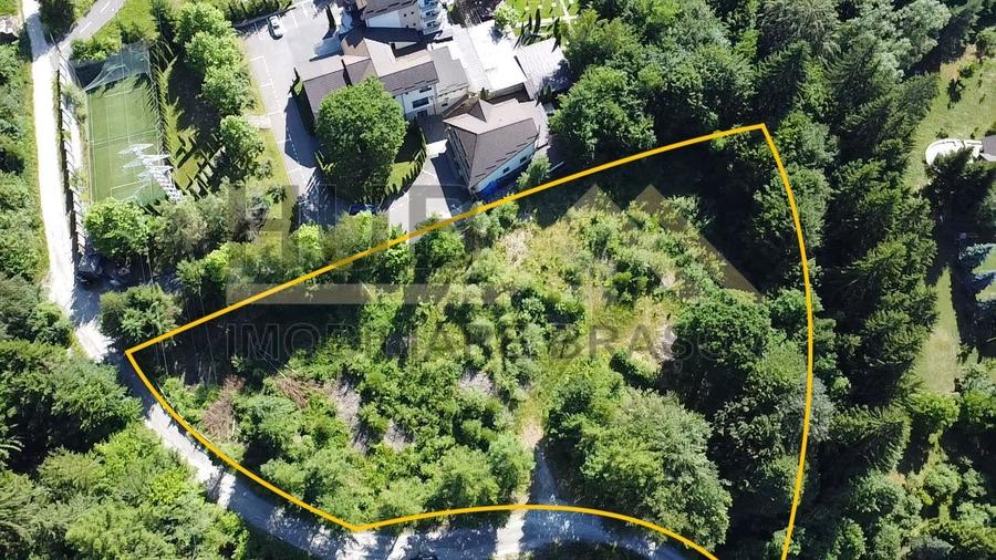 Oportunitate Investitie Teren Dambu Morii | Necesar PUD | Utilitati | 4.800mp - 3