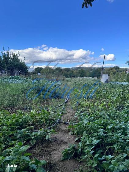 Oportunitate investitie, teren intravilan zona Terapia 2877mp - 2