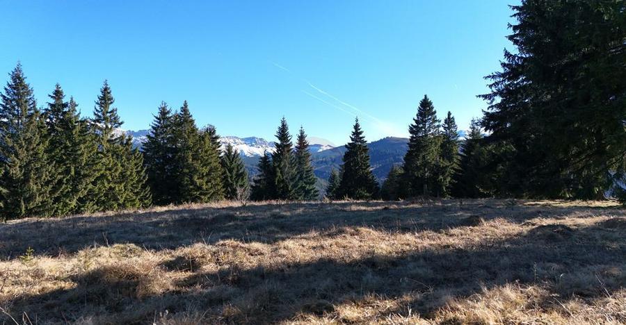 Priveliste minunata spre Bugeci, Magura,Piatra Craiului ... - 6