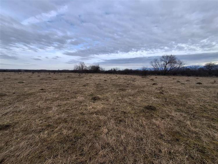 Teren intravilan 679mp zona Arhitectilor - Aerodrom - 1