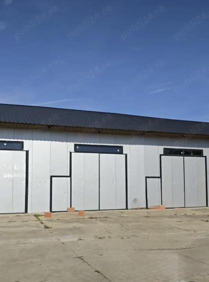 Hala de inchiriat - 1