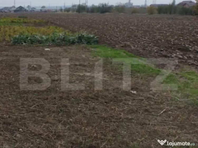 Teren extravilan, Isalnita, 13m deschidere, 3000mp - 1