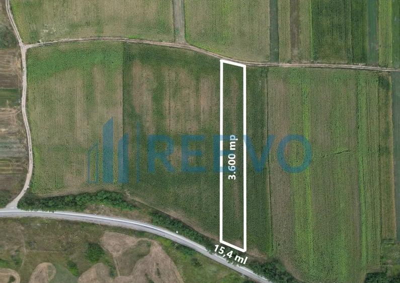 Teren de 3.600 mp Racova - 5