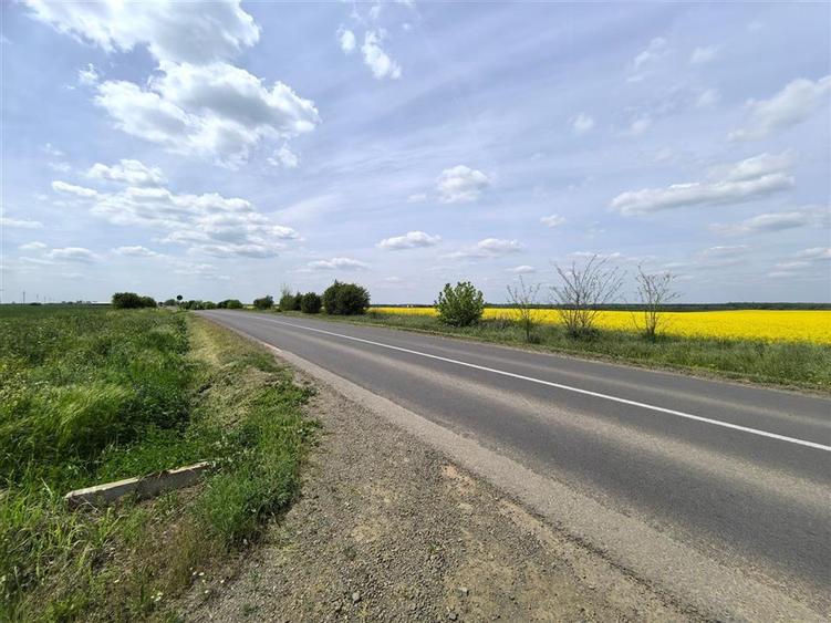 Teren 7 HA cu FS de 143 ml la DJ682 langa zona industriala Zadareni - 3