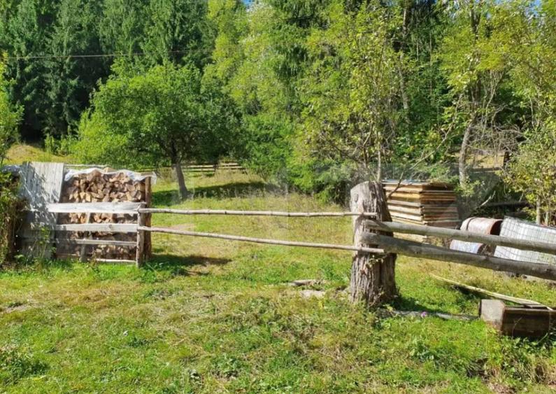 Teren intravilan 3015 mp, Garda de Sus, Ghetarul Scarisoara - 7