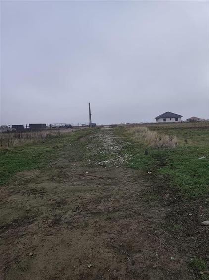 Teren intravilan in Cihei, cu PUZ aprobat, zona Fundatia Mihai Nesu - 5