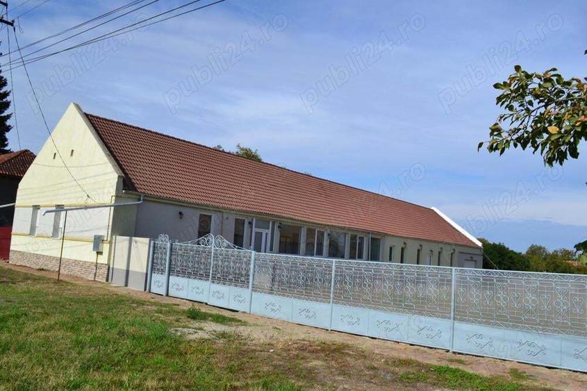 Casa Peciu Nou renovata 270 mp utili,4330 mp teren front 25 ml - 1