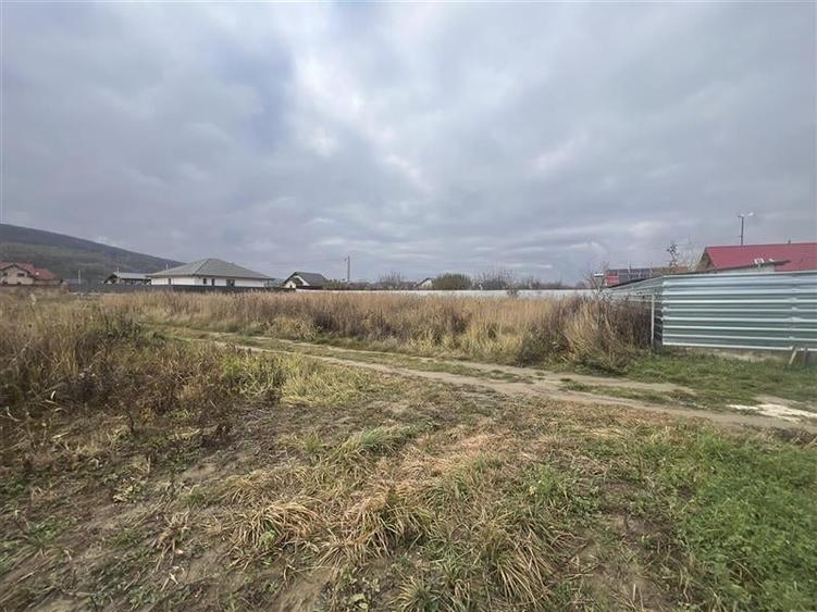 Hemeius- teren 500 mp- 18 ml deschidere! - 3