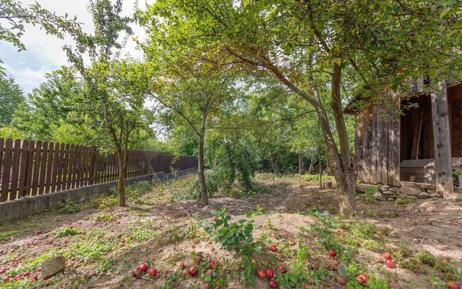 Teren intravilan cu funda?ie, proiect de casa, Avram Ian... - 7