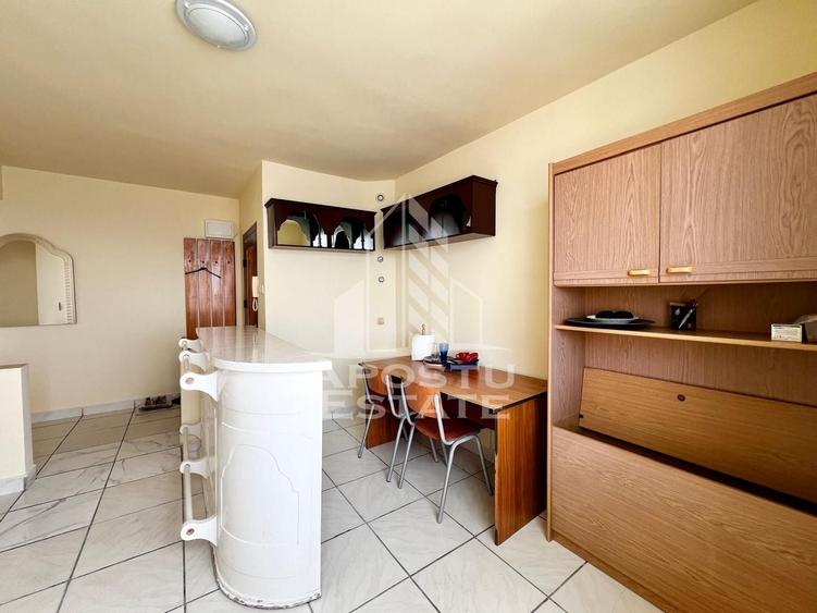 Apartament 2 camere de inchiriat, centrala, Elisabetin, Timisoara - 7