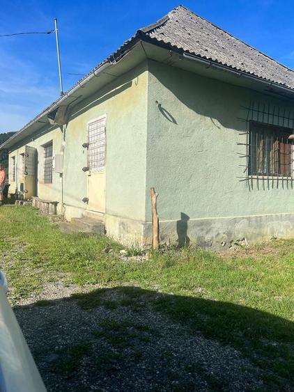 Casa + teren + padure sat Moliset, jud Bistrita Nasaud - 6