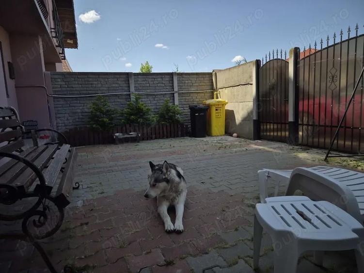 Vand duplex in Via carmina. - 9