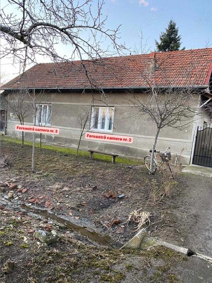 Vand sau schimb, 1439 mp, sat Bodo - 1