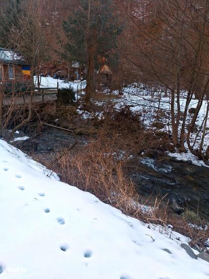VAND CABANA LOTRIOARA (Boita) aproape de DN7 / Valea Oltului - 3