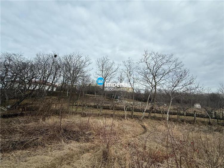 Teren intravilan de vanzare in Iasi, zona Copou - 1