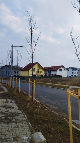 VAND TEREN INTRAVILAN 16.474 MP IN ZONA BANEASA PENTRU AFACERI/INVESTITII - 2