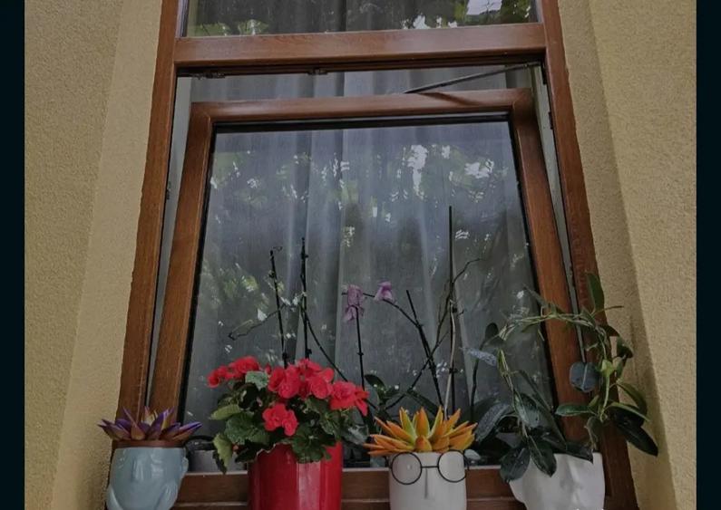 Apartament 2 camere garaj+parcare, ultracentral Cluj Napoca, - 3