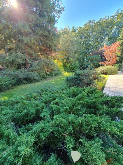 Vila S+P+1+M 650mp Paradisul Verde libera Vezi VIDEO - 11