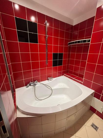 Garsoniera  Rond Alba Iulia / Dristor / Mihai Bravu - 10