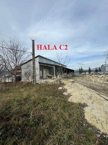 Hala 223 mp cu teren 600 mp, inchiriere/vanzare, Comanesti, jud. Bacau - 7