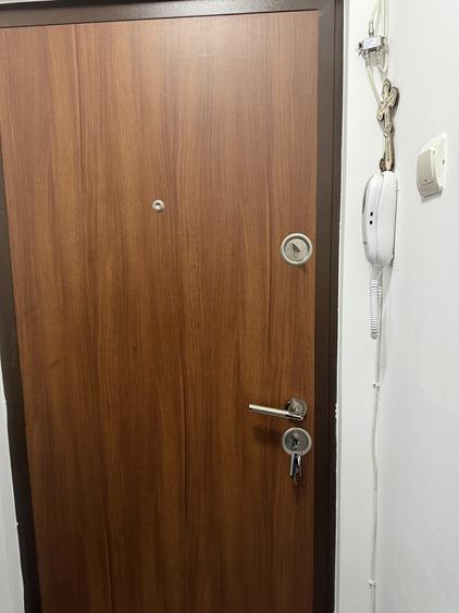 Drumul Taberei Raul Doamnei vanzare 2 camere mobilat - 3