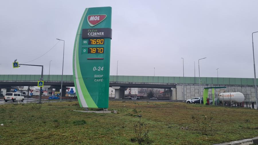 Teren Odai-Straulesti-Piscul Sadului 16.500mp - 4