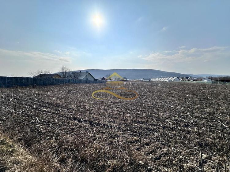 De vanzare teren intravilan Hemeius Bacau - 8