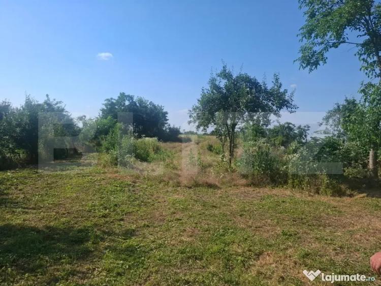 Casa individuala, 100 mp, teren 5000 mp, zona Mogosani - 5