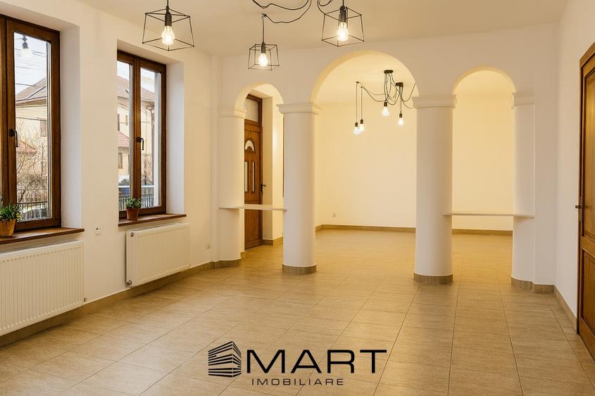 Spatiu comercial Zona Calea Dumbravii - 1