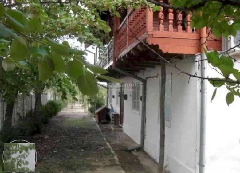 Teren la 35 km de Bucuresti - Izvorani - Ciolpani - 2