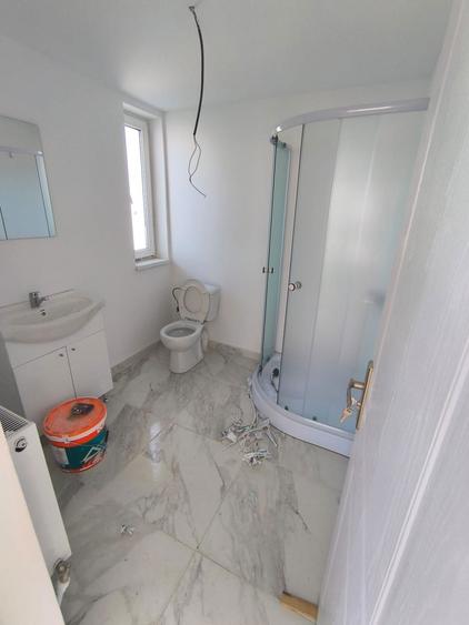 Casa Simnicu - Albesti - 8