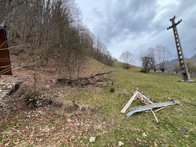 Teren intravilan 12.800 mp investitie - 1