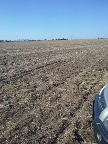 Exclusiv! Teren extravilan 10.000 mp - Cumpana - Malul canalului (Cod E3) - 4