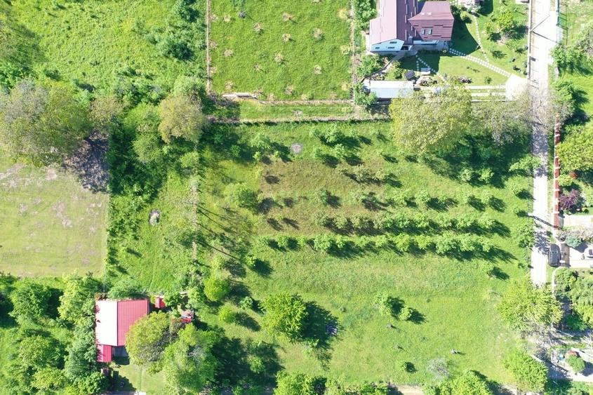 Teren intravilan de vanzare in Brebu (zona foarte linistita) - 6