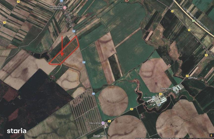 Vand loturi teren curti-constructii, la Ratesti, 30 km de Pitesti - 5