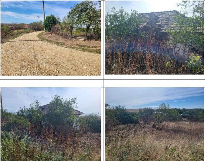 Casa si teren Sat Guruieni, cota parte de 1/2 , ID: R2319667 - 11