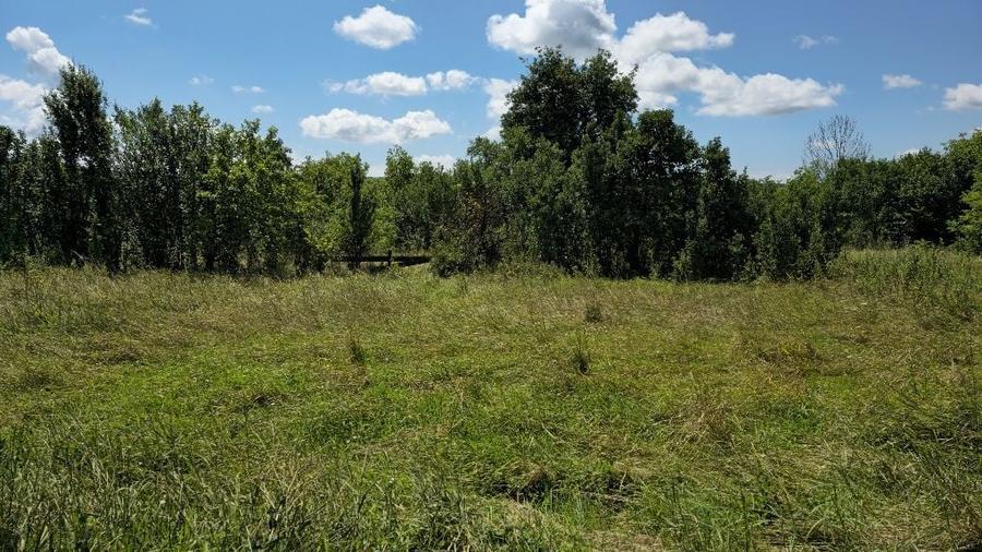 Vand/schimb teren intravilan,casa inclusa, Budus - 2